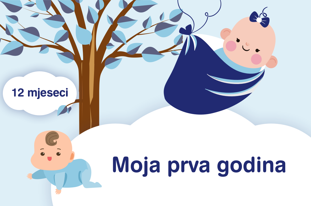Infografika: Moja prva godina